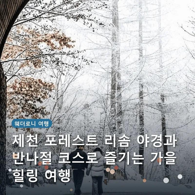 제천 포레스트 리솜 야경과 반나절 코스로 즐기는 가을 힐링 여행