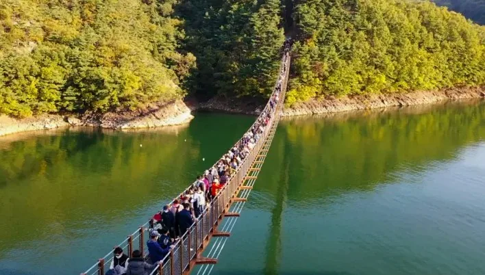 옥순봉 출렁다리 건너는 시민들 / 사진=제천관광