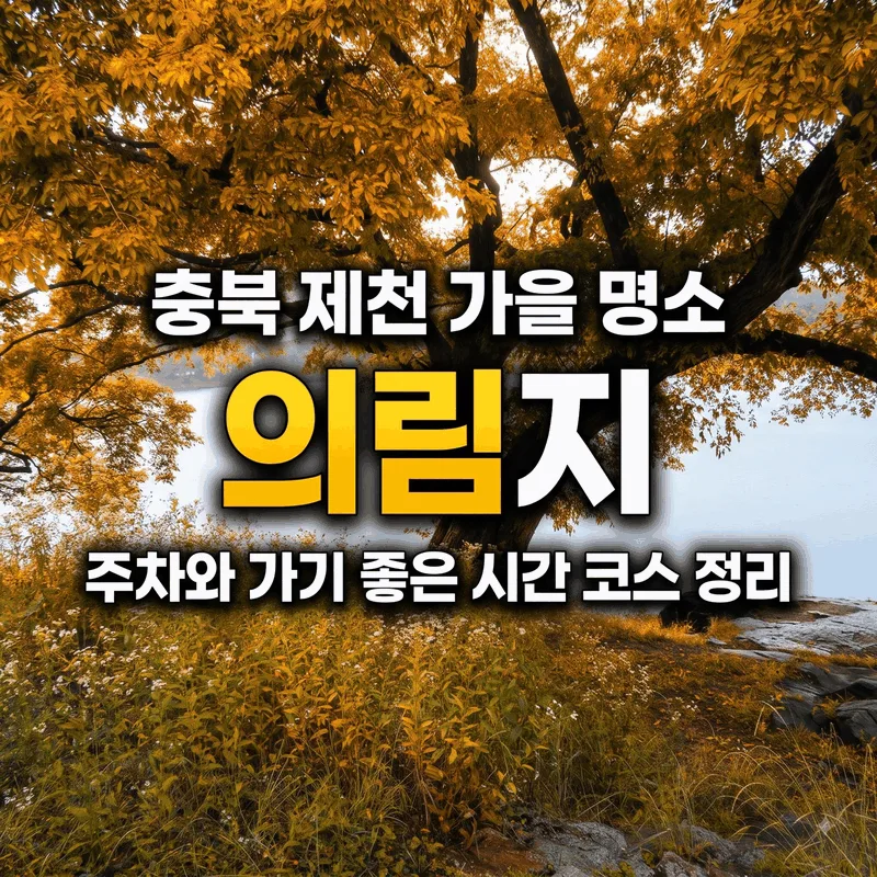 충북 제천 가을 명소 의림지 주차와 가기 좋은 시간 코스 정리