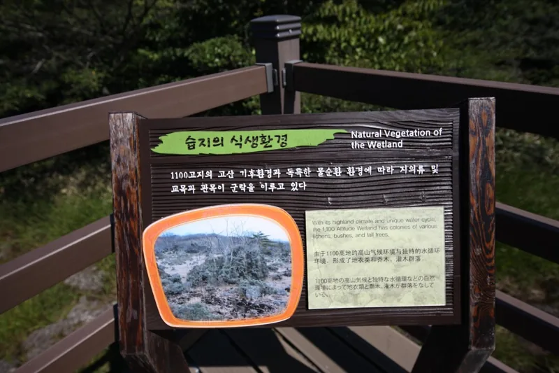 1100고지습지