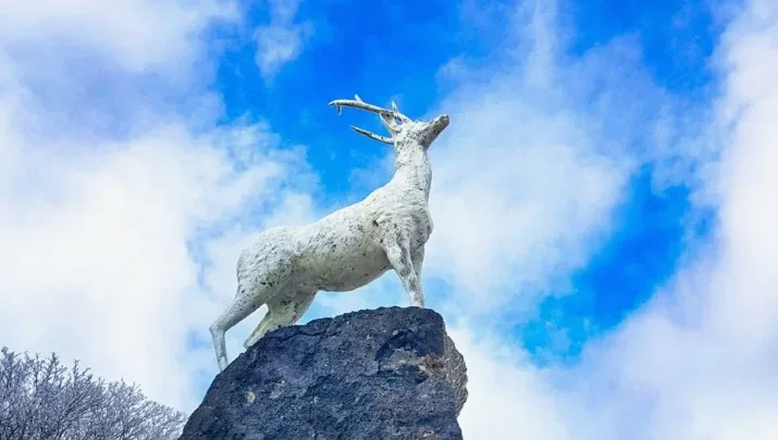 한라산 1100고지 백록상 / 사진=한라산 1100고지