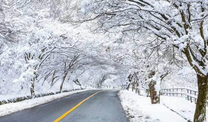 한라산 1100도로 / 사진=제주특별자치도 공식블로그