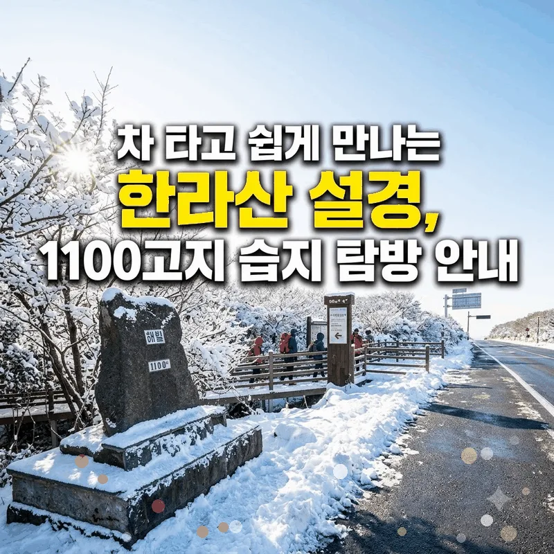 차 타고 쉽게 만나는 한라산 설경, 1100고지 습지 탐방 안내