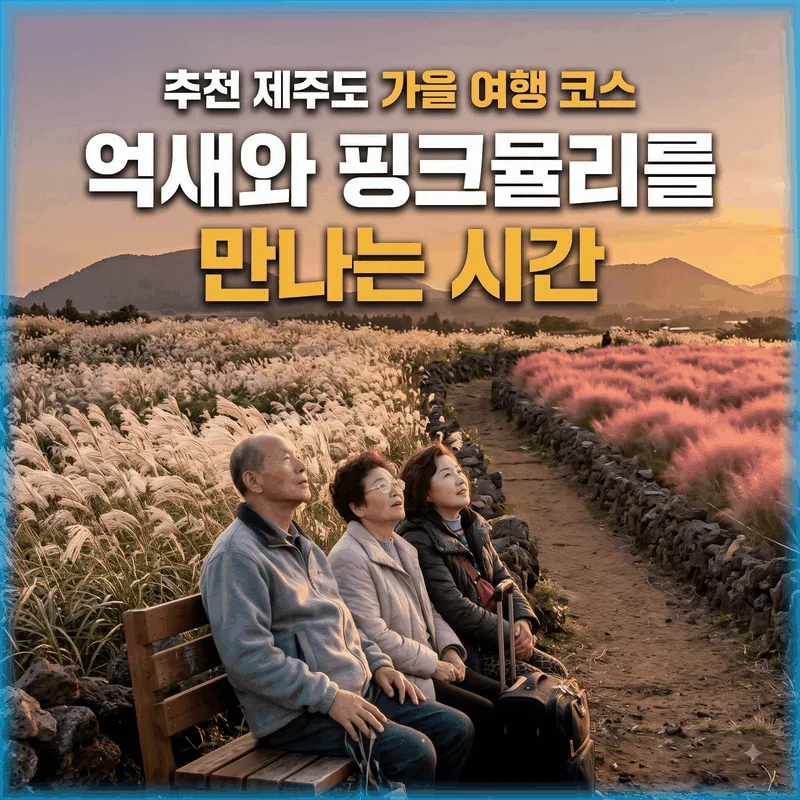 제주도 가을 여행 코스 추천, 억새와 핑크뮬리 만나는 시간