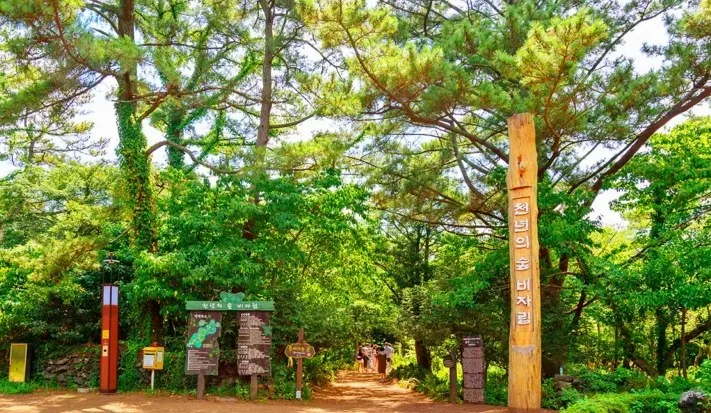 비자림 입구 / 사진=게티이미지뱅크