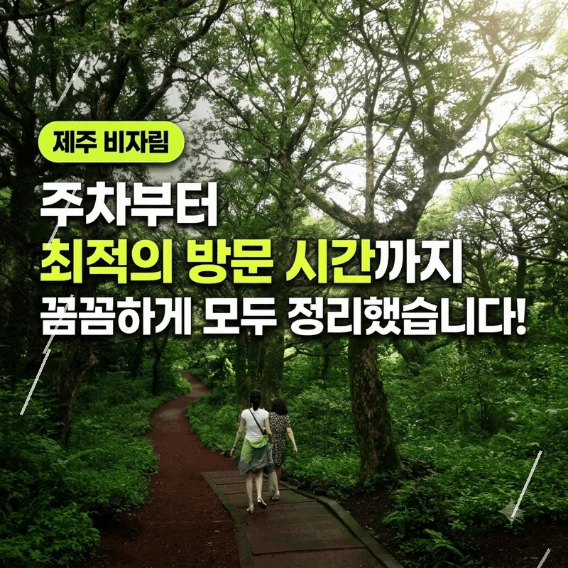 제주 비자림 주차부터 가기 좋은 시간까지 알차게 정리했어요