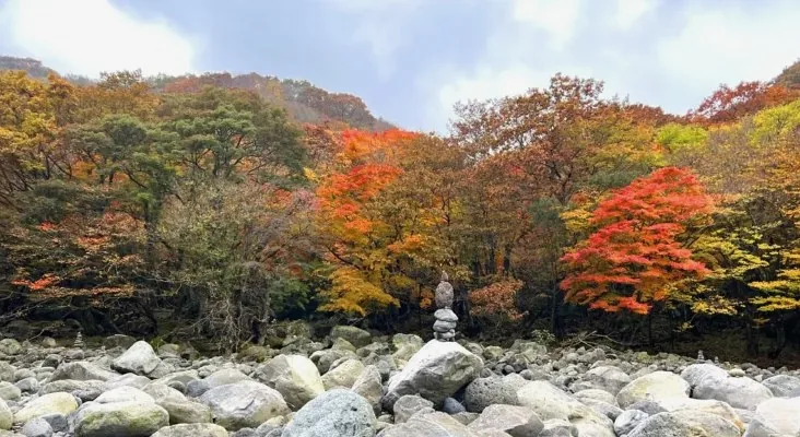 천아계곡 가을 모습 / 사진=제주특별자치도 공식 블로그