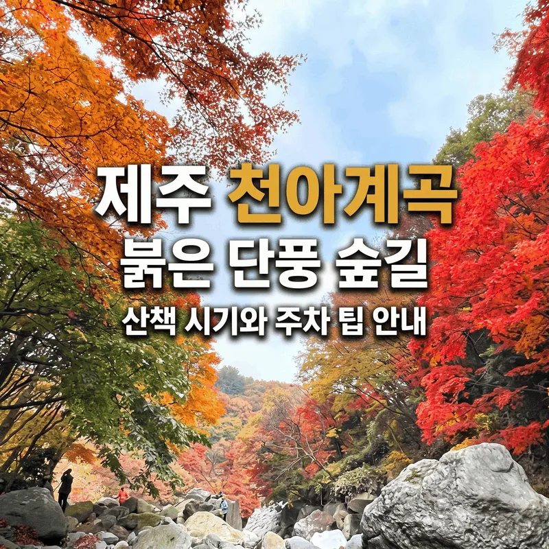 제주 천아계곡 붉은 단풍 숲길 산책 시기와 주차 팁 안내