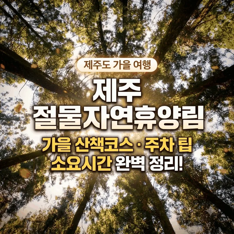제주절물자연휴양림 가을 산책 코스와 주차 팁부터 소요 시간 완벽 정리
