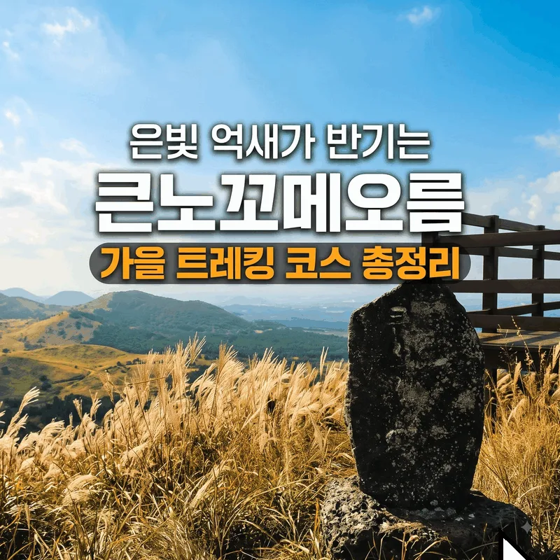 은빛 억새가 반기는 큰노꼬메오름, 가을 트레킹 코스 총정리