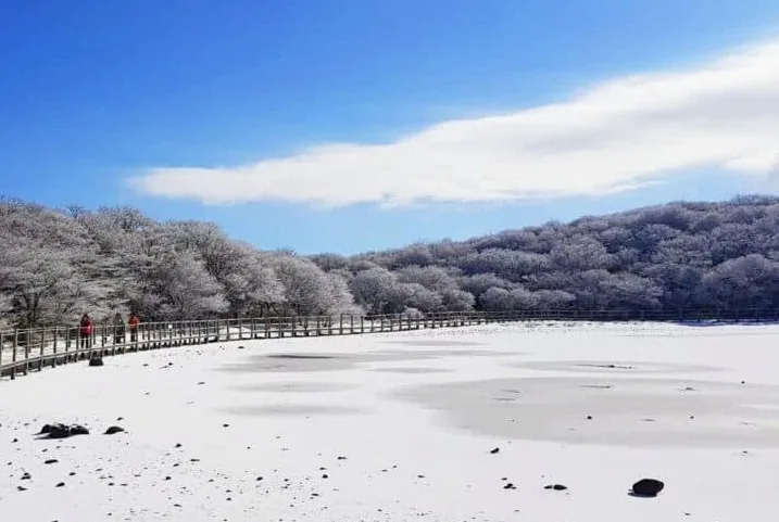 제주도 사라오름 설경 / 사진=유튜브 안나와 푸르나