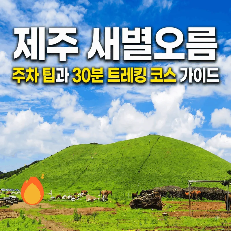 제주 새별오름 주차 팁과 30분 트레킹 코스 가이드