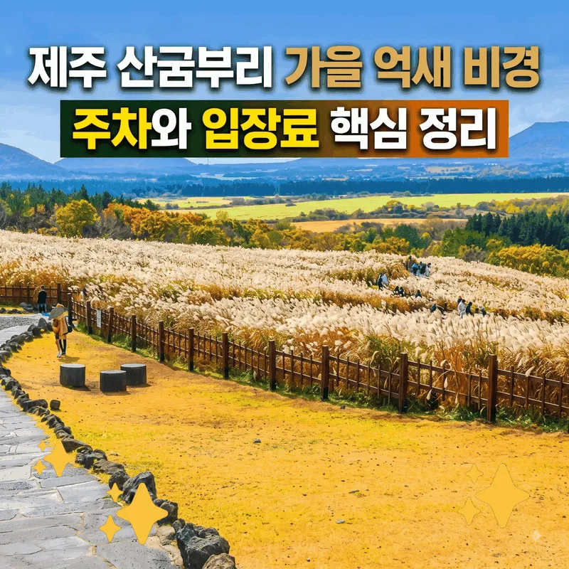 제주 산굼부리 가을 억새 비경, 주차와 입장료 핵심 정리