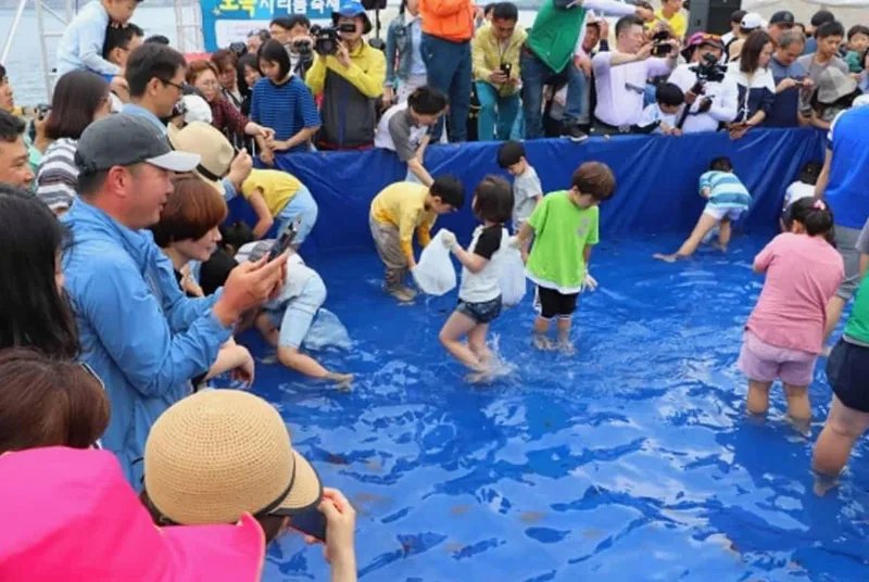 보목 자리돔 축제 /사진=온라인커뮤니티