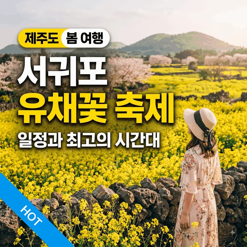 제주도 봄 여행 서귀포 유채꽃 축제 일정과 예쁜 시간대 완벽 정리