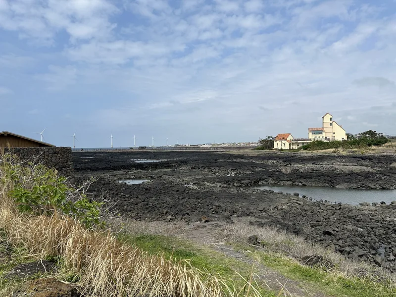 Sinchang Windmill Coastal Road 03