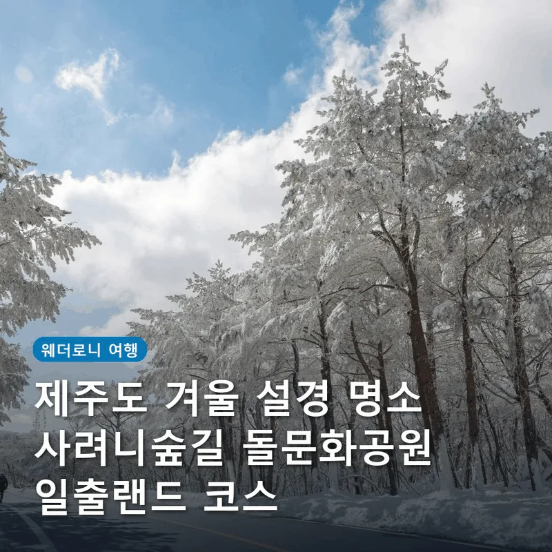 제주도 겨울 설경 명소 사려니숲길 돌문화공원 일출랜드 코스