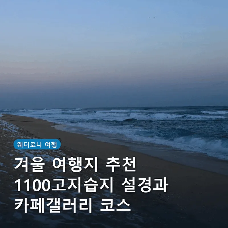 겨울 여행지 추천 1100고지습지 설경과 카페갤러리 코스