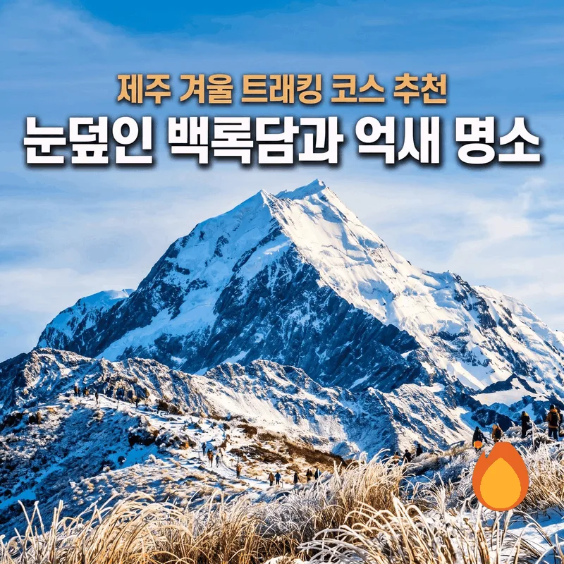 제주 겨울 트래킹 코스 추천, 눈덮인 백록담과 억새 명소