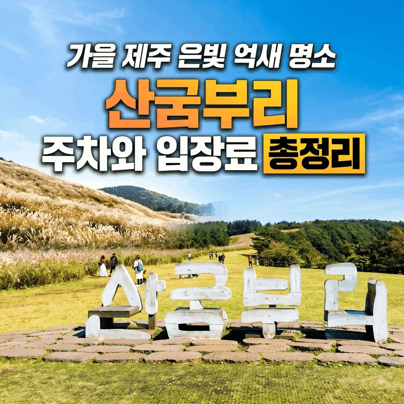 가을 제주 은빛 억새 명소 산굼부리 주차와 입장료 총정리