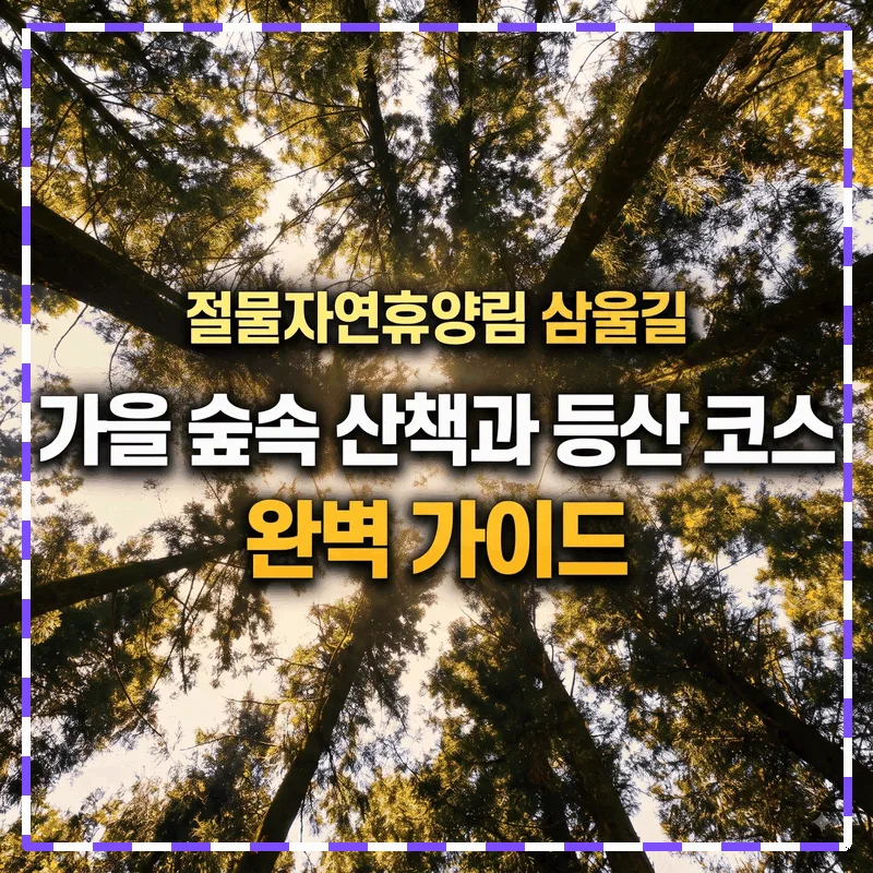 절물자연휴양림 삼울길 가을 숲속 산책과 등산 코스 완벽 가이드
