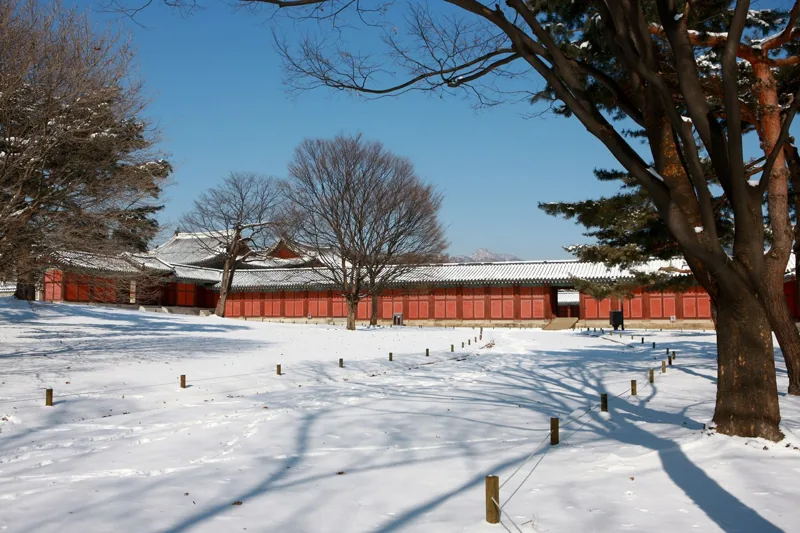 창경궁 겨울