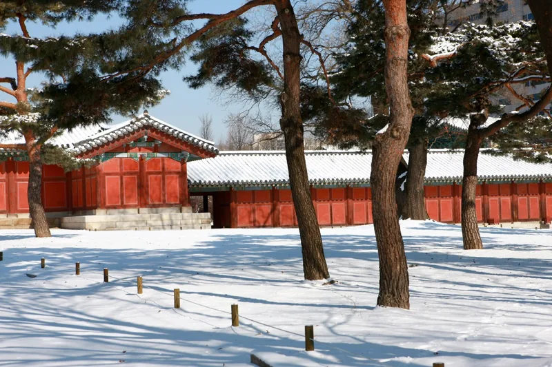 창경궁 겨울