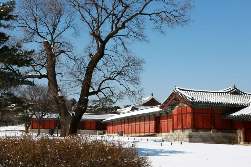 창경궁 겨울