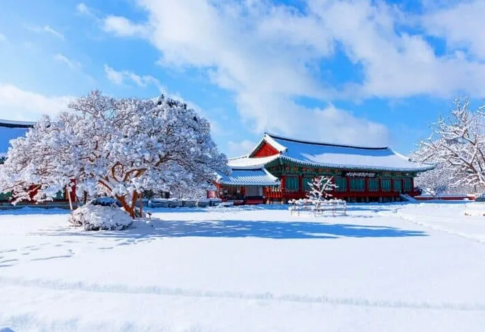 금산사 황홀한 설경 / 사진=게티이미지뱅크