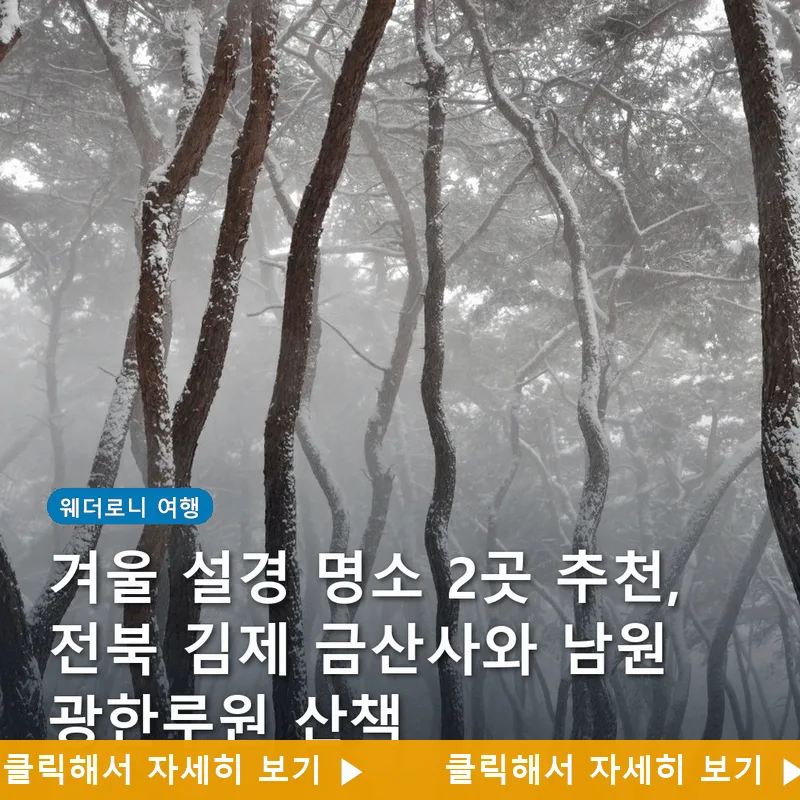 겨울 설경 명소 2곳 추천, 전북 김제 금산사와 남원 광한루원 산책