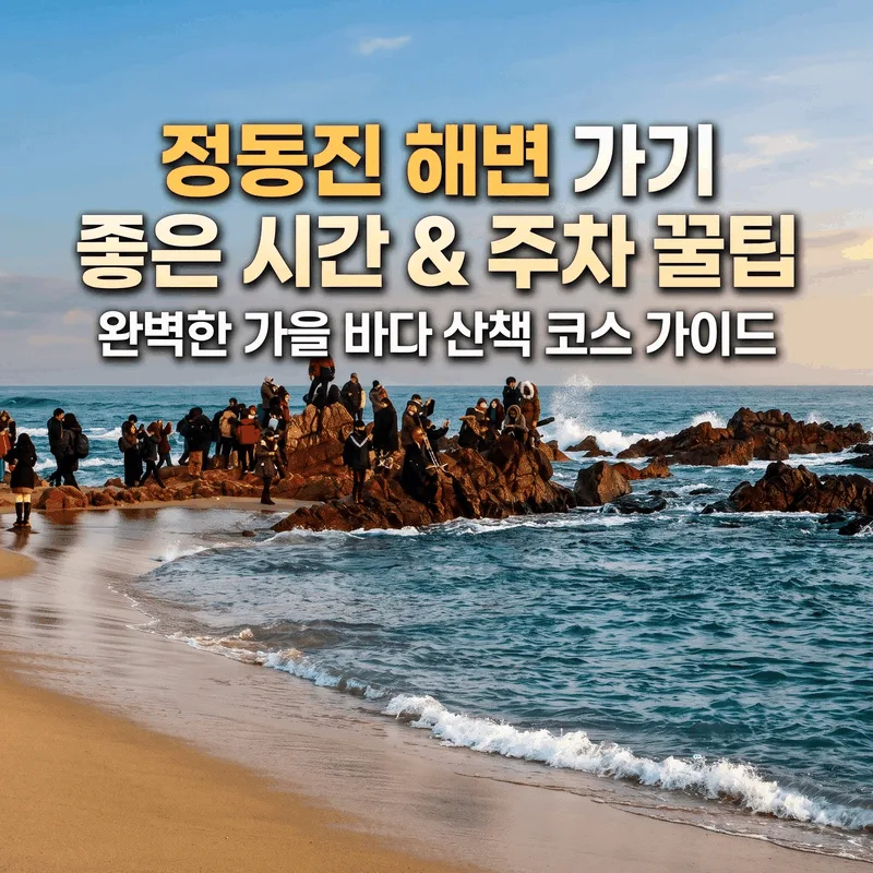 정동진해수욕장 가기 좋은 시간과 주차 팁, 가을 바다 산책 코스 완벽 안내