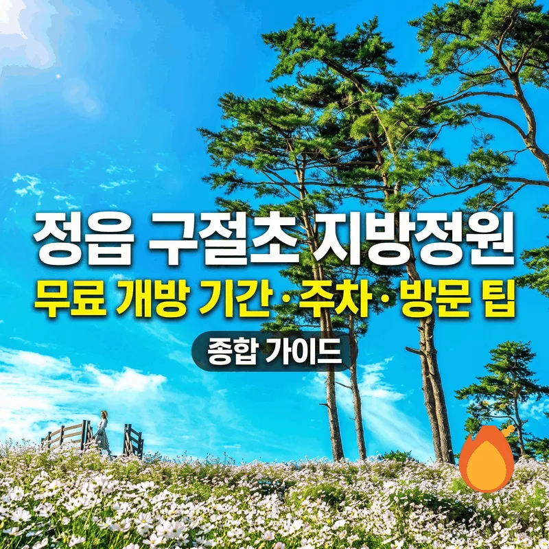 정읍 구절초 지방정원 무료 개방 시기, 주차 및 관람 팁 총정리