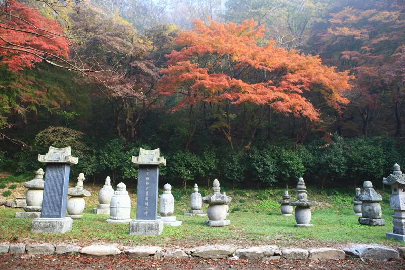 내장사