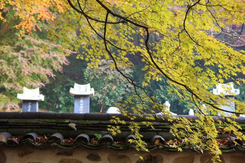 내장사