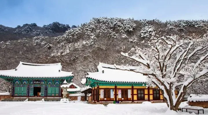 내장사 / 사진=게티이미지뱅크