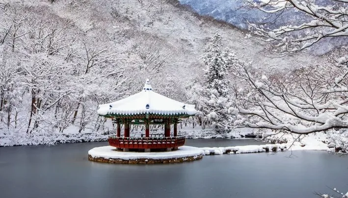 내장사 우화정 / 사진=게티이미지뱅크