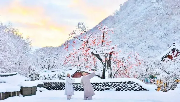 내장사 겨울 풍경 / 사진=게티이미지뱅크