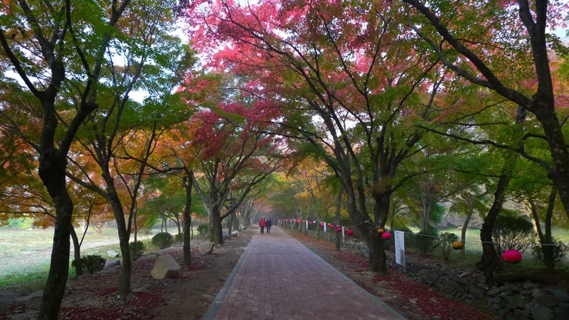 내장사