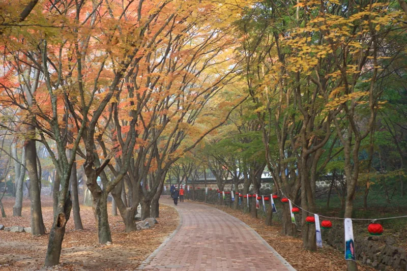 내장사