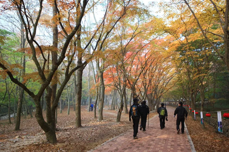 내장사