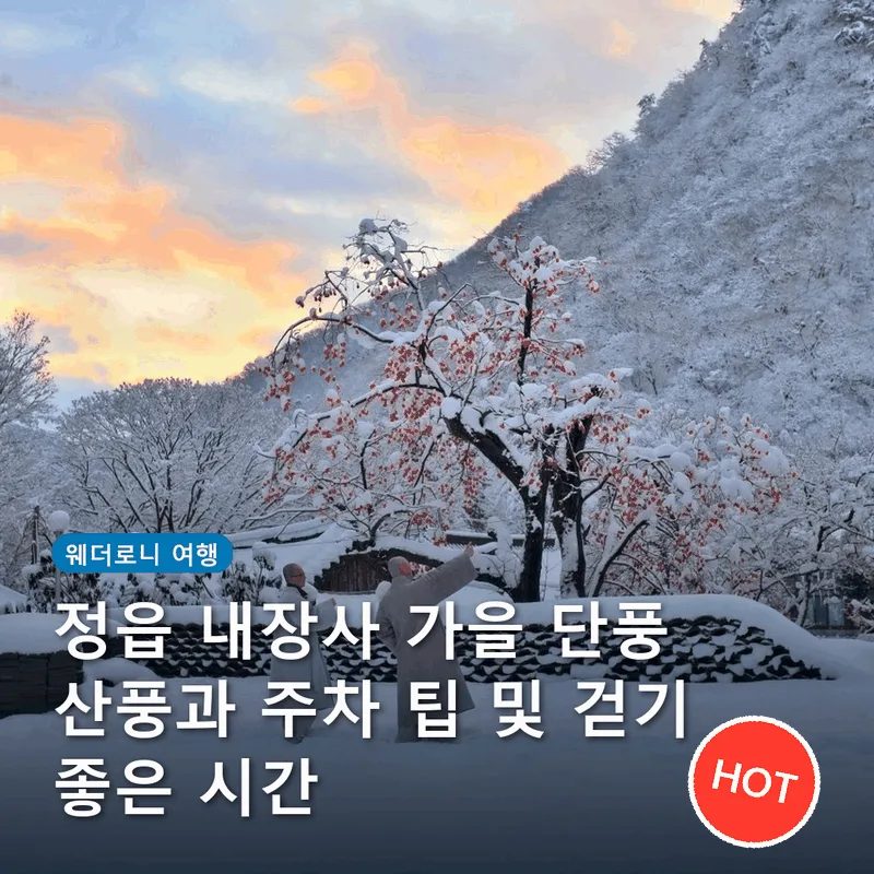 정읍 내장사 가을 단풍 산풍과 주차 팁 및 걷기 좋은 시간