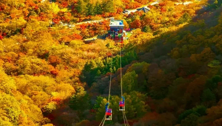 내장산 풍경 / 사진=ⓒ한국관광공사 IR 스튜디오