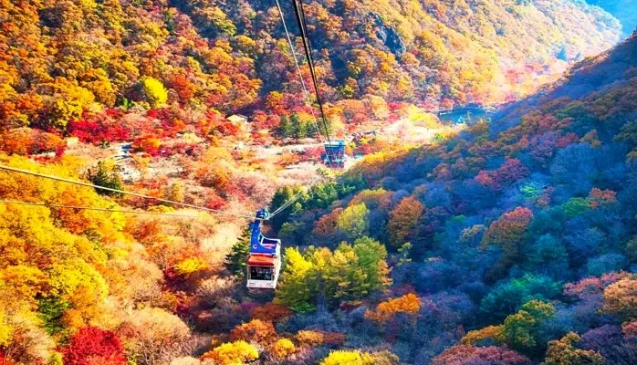 가을 내장산케이블카 / 사진=ⓒ한국관광공사 IR 스튜디오