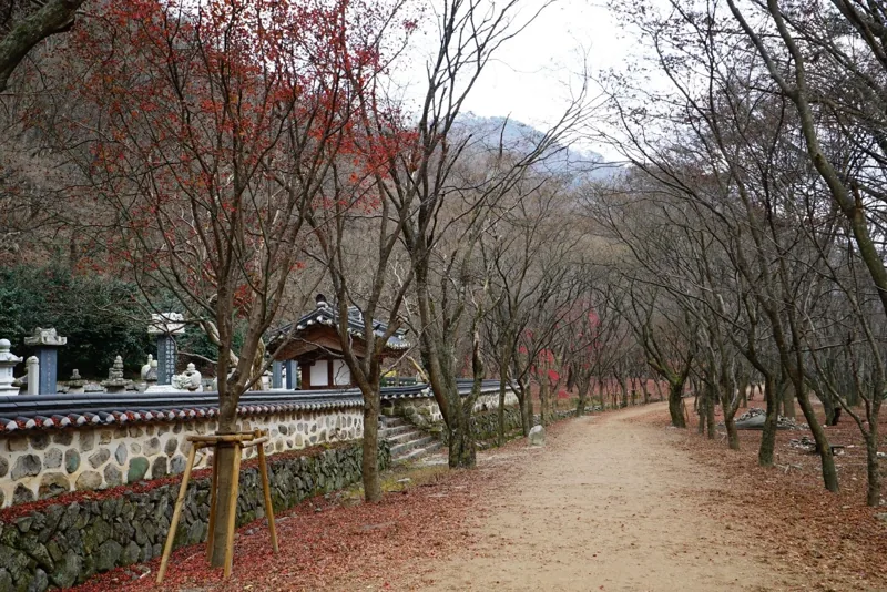 내장사
