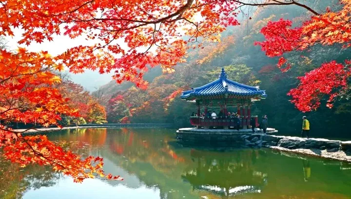 내장산 우화정 / 사진=정읍시