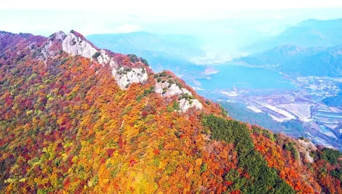 내장산 가을 전경 / 사진=정읍시