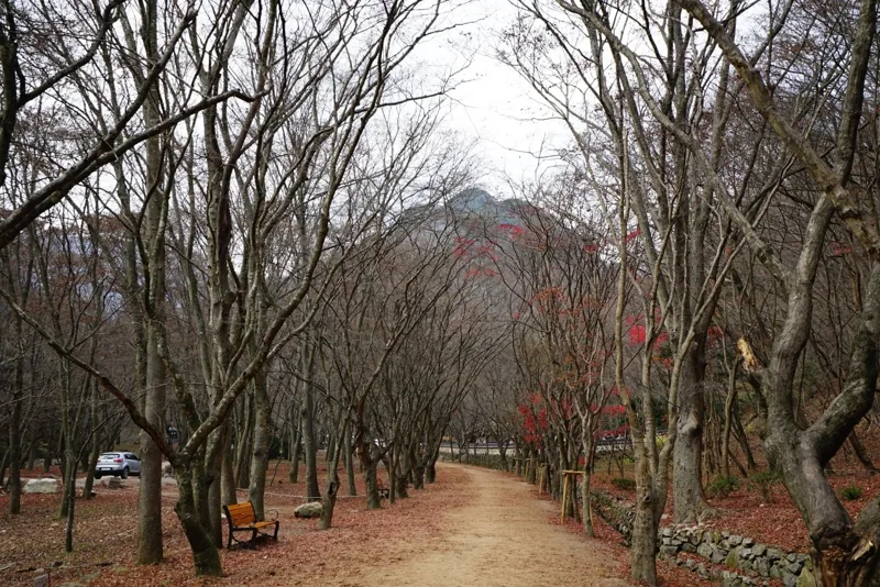 내장사