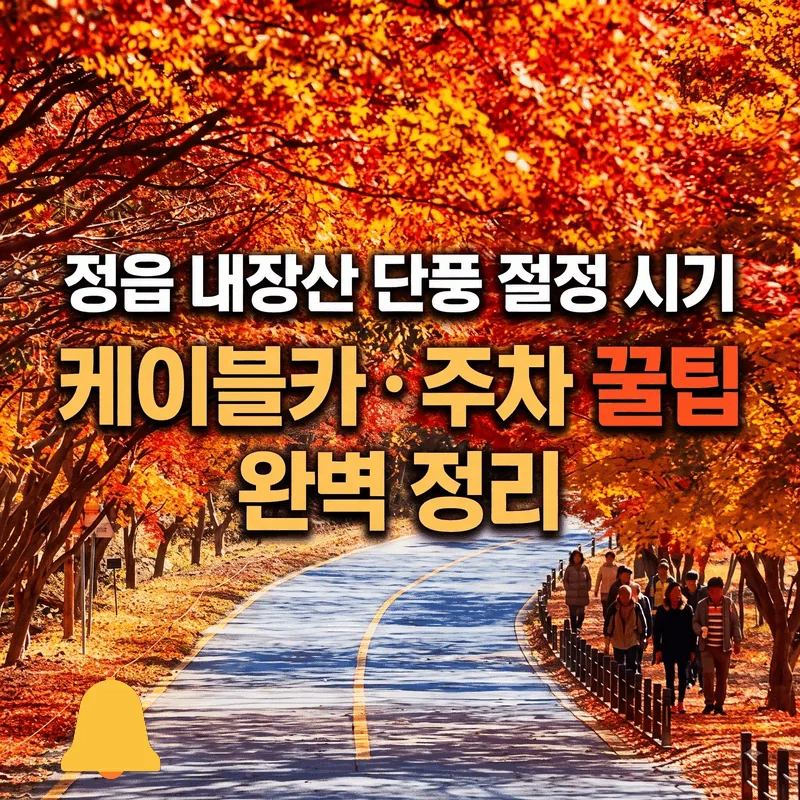 정읍 내장산 단풍 절정 시기 케이블카 주차 꿀팁 완벽 정리