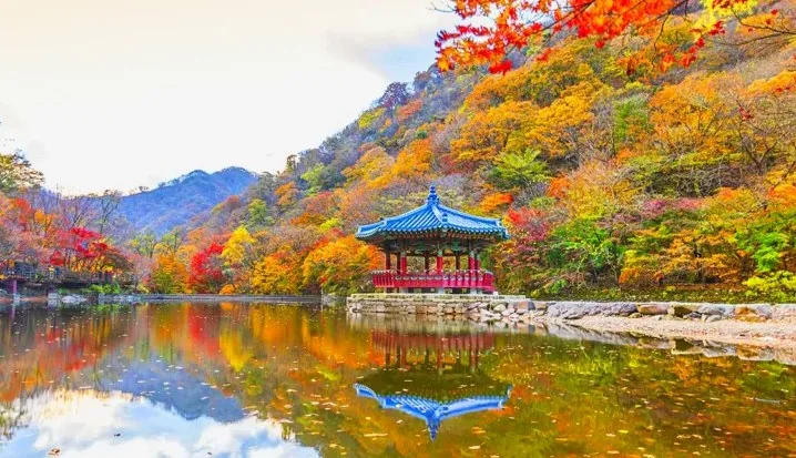 우화정 / 사진=게티이미지뱅크
