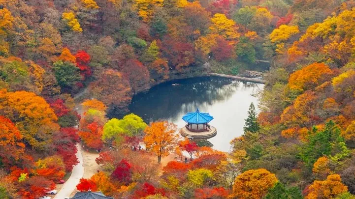 우화정 단풍 / 사진=게티이미지뱅크